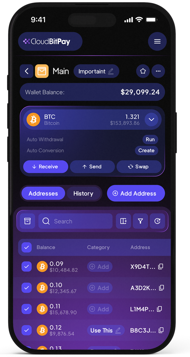 CloudBitPay — Multi-Address Support
